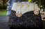 The Gilded Eclipse-Handmade cork and natural leather, and top handle bag with gold chain.